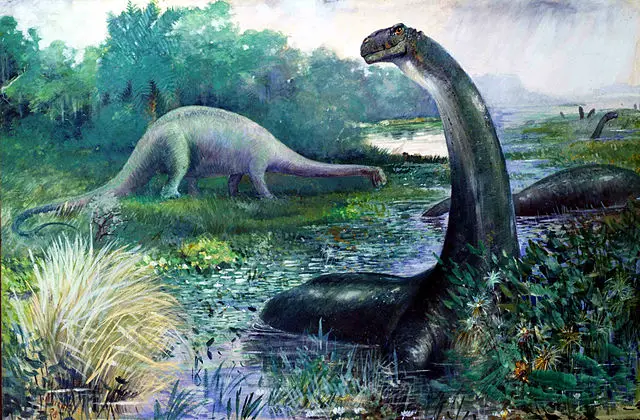 The Apatosaurus Was An Herbivore. It Is Thought To Have Been a Browser—Though No One Has Ever Seen An Apatosaurus Eat.